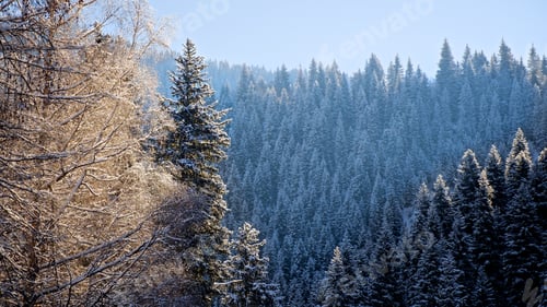 Preview: Winter in the mountains