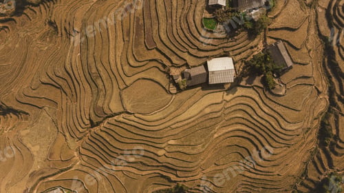 Preview: Aerial rural Vietnam landscape with terraced rice fields