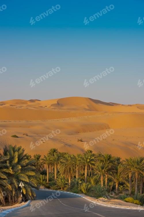 Preview: Desert dunes in Liwa oasis, United Arab Emirates