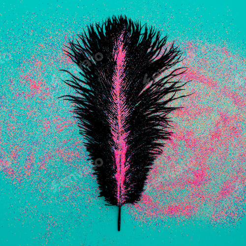 Preview: Black feather in sparkles Minimal art work