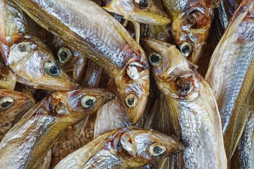Preview: Few cured european smelt fishes close-up
