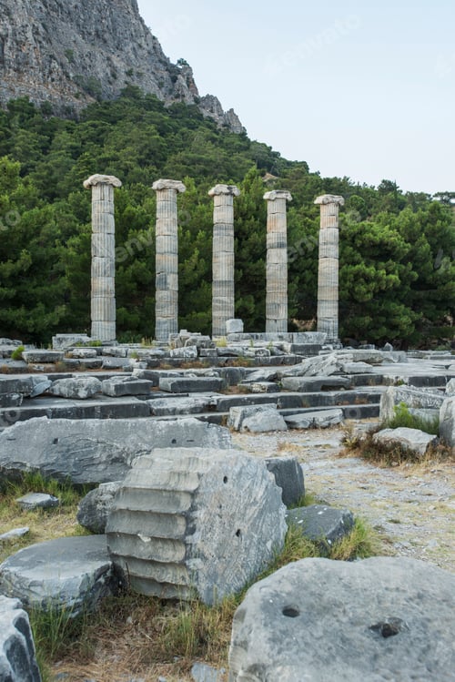 Preview: Columns of Priene