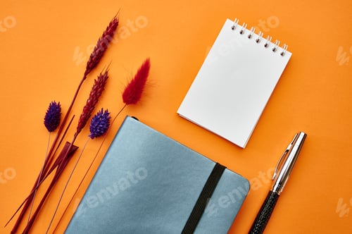 Preview: Two notepads and pen closeup, orange background
