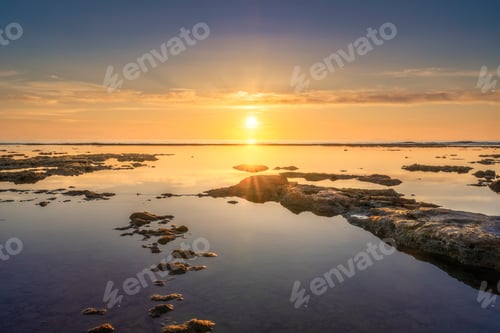 Preview: Grass on the dunes, Vada white sand beach . Rosignano, Tuscany, Italy