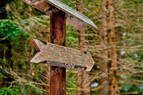 Preview: Wooden sign arrow in green forest at Carpathian forest.