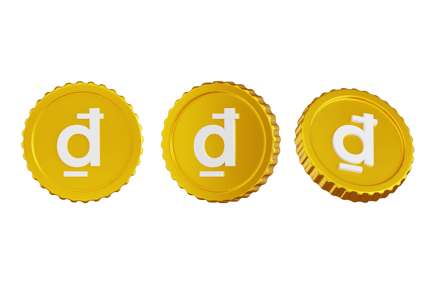 Preview: Vietnamese Dong Coin