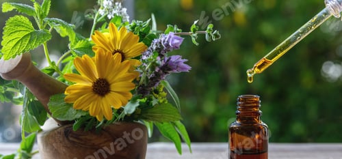 Preview: Essential oil drop fall in a bottle, close up. Alternative health medicine. Fresh herb in a mortar
