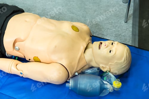 Preview: Medical mannequin, professional medicine equipment