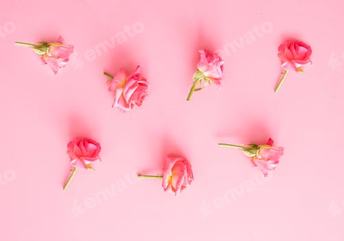 Preview: Assorted rose heads. Various soft roses and leaves scattered on pink background, top view