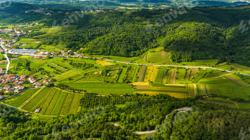 Preview: Scenic Aerial Shot of Rolling Vineyards in Vipava Valley, Slovenia