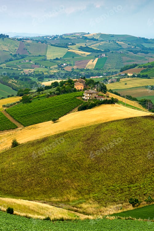 Preview: Country landscape near Ripatransone, Marche, Italy