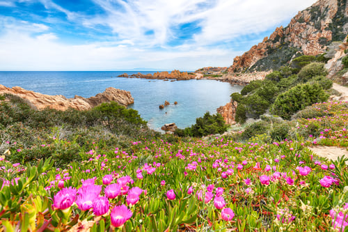 Preview: Gorgeous view of popular travel destination Costa Paradiso.