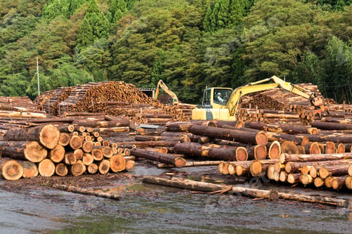 Preview: Lumber yard with stacked lumber