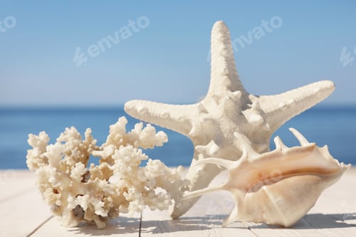 Preview: Beautiful starfish, coral and shell on wooden pier near sea, closeup
