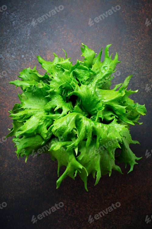 Preview: Fresh green leaves of lettuce on a dark concrete background. Selective focus.Copy space. Top view.