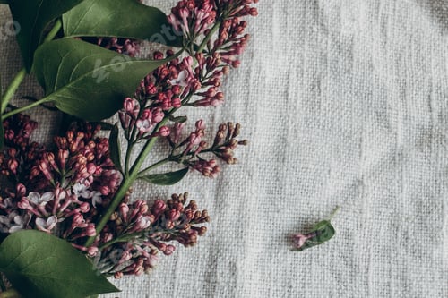 Pink Lilac Blossoms on Textured White Fabric