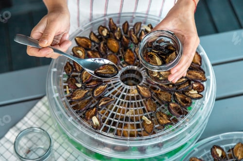 Preview: Woman dried plums in a dehydrator into jars. Selective focus.