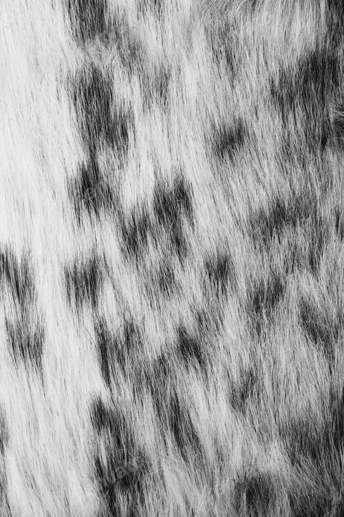 Preview: Close-up of fur background