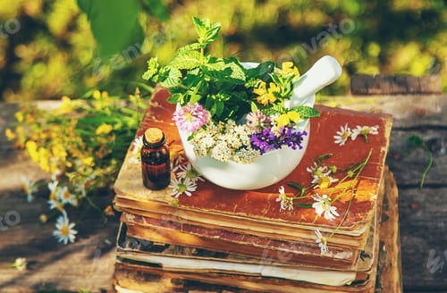 Preview: Medicinal herbs homeopathy and alternative medicine. Selective focus.