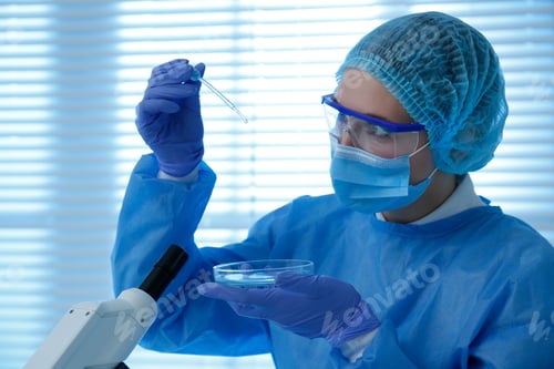 Preview: Scientist dripping sample into Petri dish in laboratory. Medical research