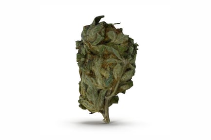 Preview: Dense Cannabis Flower Bud with Trichomes