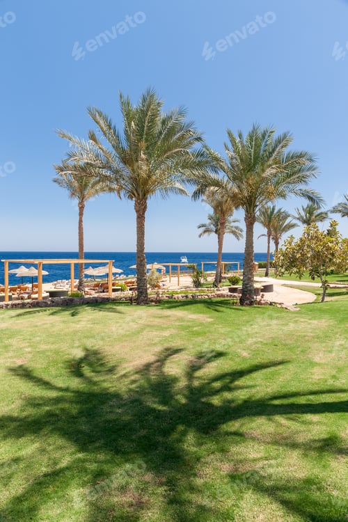 Preview: The Beach At The Luxury Hotel, Sharm El Sheikh, Egypt