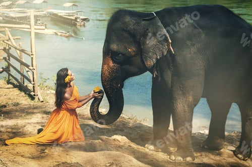 Preview: Woman in beautiful orange dress and elephant
