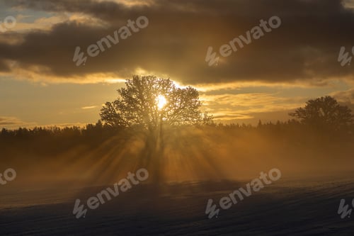 Preview: nature
