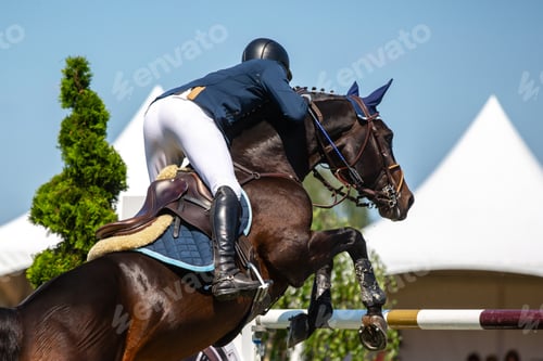 Preview: Horse Jumping, Equestrian Sports, Show Jumping event themed photograph
