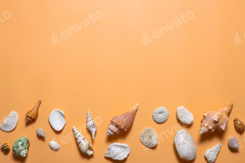Preview: Various shell background with copy space