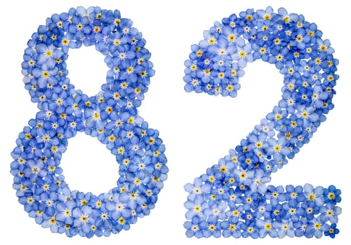 Preview: Arabic numeral 82, eighty two, from blue forget-me-not flowers