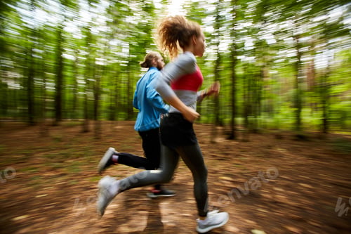 Preview: Jog training
