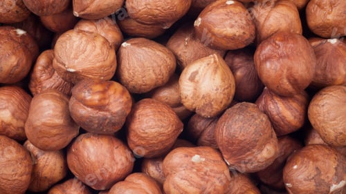 Preview: Organic Brown Hazelnuts. Delicious Healthy Nuts, Concept for Design. Autumn Harvest Snack