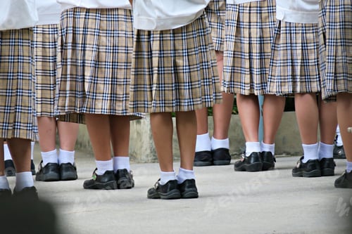 Preview: Students in uniforms standing in row ceremony closeup outdoor background