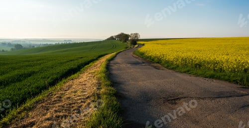 Preview: Road through the spring countryside
