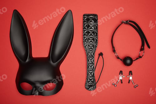 Preview: flat lay with various black sex toys isolated on red