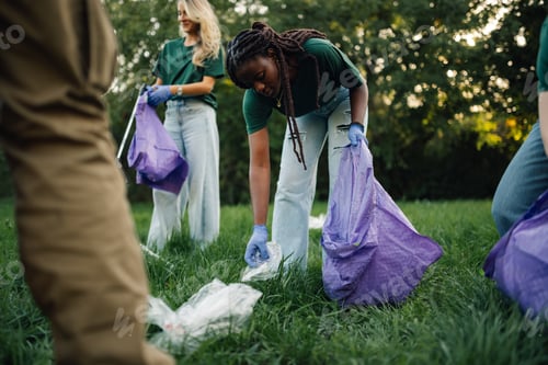 Preview: Group of people volunteers collecting rubbish in park