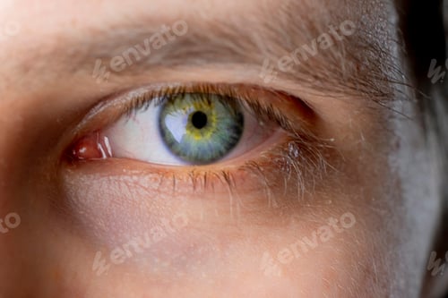Preview: close up red eye of the mad and angry males