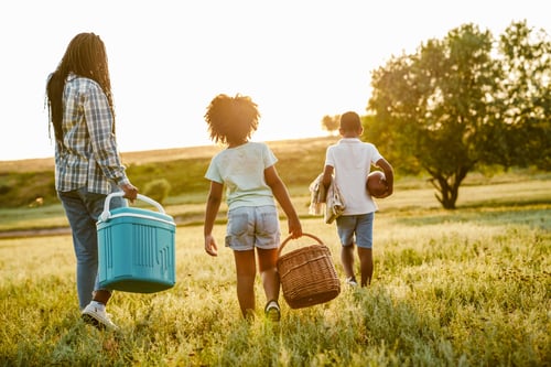 Preview: Black happy mother with her sons walking with bags on field