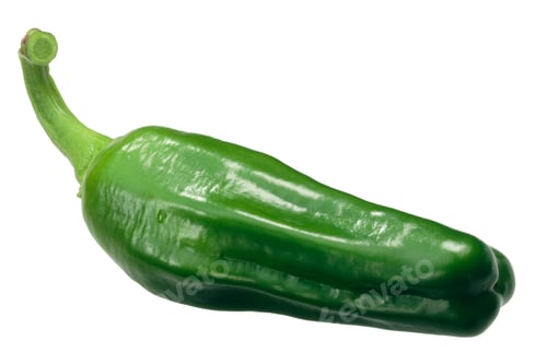 Preview: Padron pepper c. annuum, whole pod