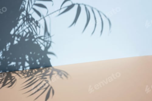 Preview: Palm leaves shadow on blue wall background and beige pastel floor. Summer tropical beach background.