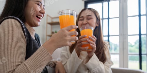 Preview: Happy Lesbian Couple Enjoying Fresh Orange Juice Together at Home in a Bright and Modern Living