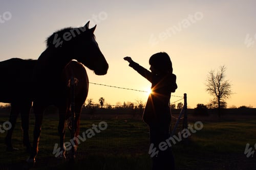 Preview: Child and Horse Silhouette at Sunset Pasture