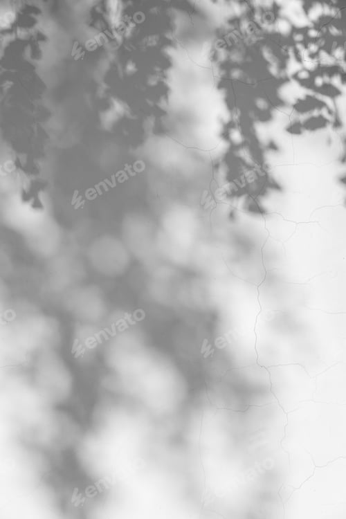 Preview: Shadow of tree branch sway in the wind on white wall background