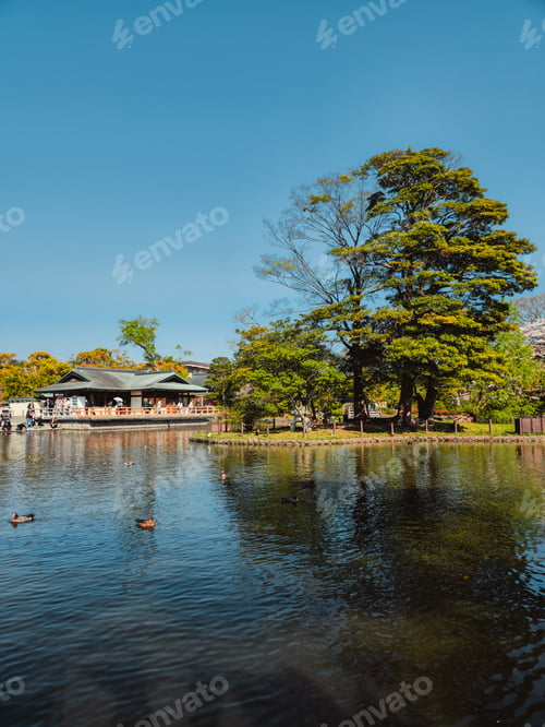 Visualização: Calm Water In The Japan National Park