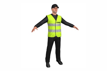 Preview: Security Steward, High-Visibility Vest