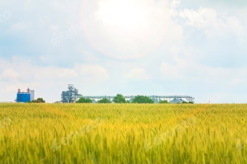 Preview: Wheat fields and elevator