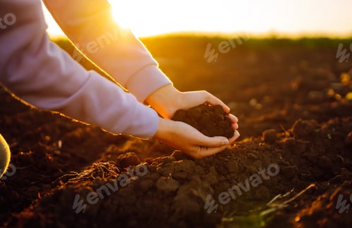 Preview: Hand of expert farmer collect soil. Farmer is checking soil quality before sowing. Agriculture.