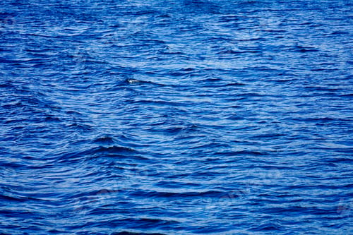 Preview: Blue ocean water with gentle waves.