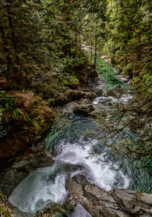 Preview: River with waterfall in forest